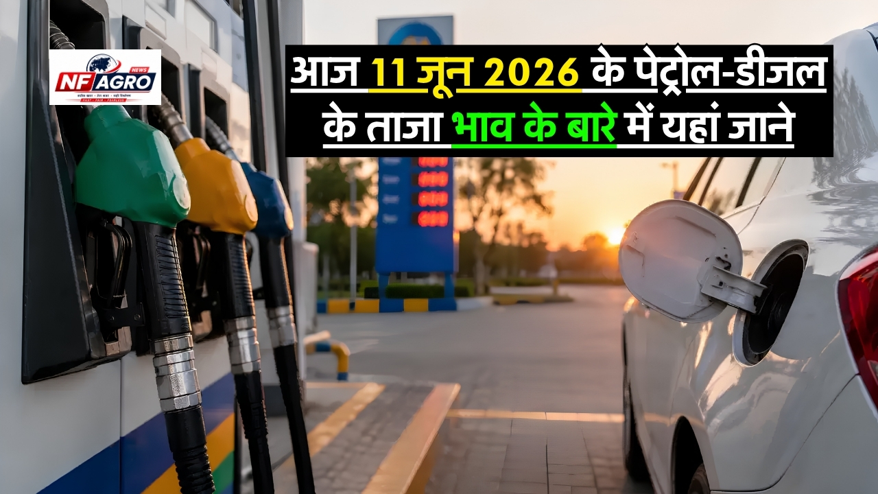 11 June Petrol-Diesel Price