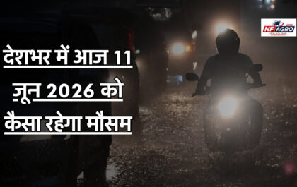 11 June Weather News