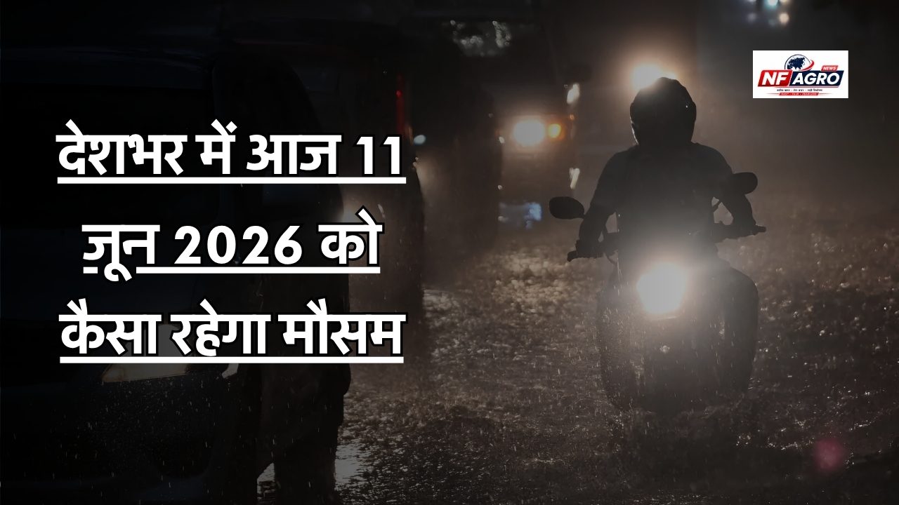 11 June Weather News