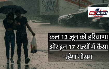13 June Weather