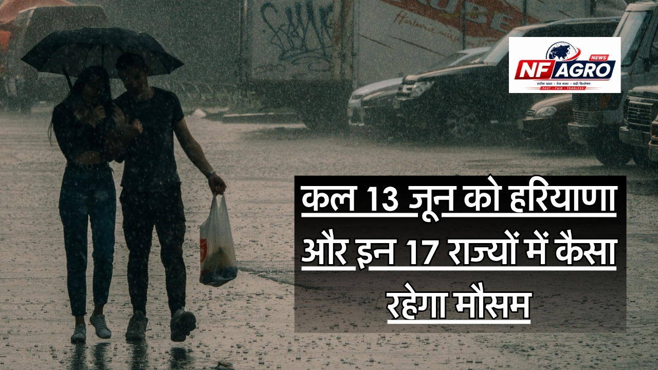 13 June Weather