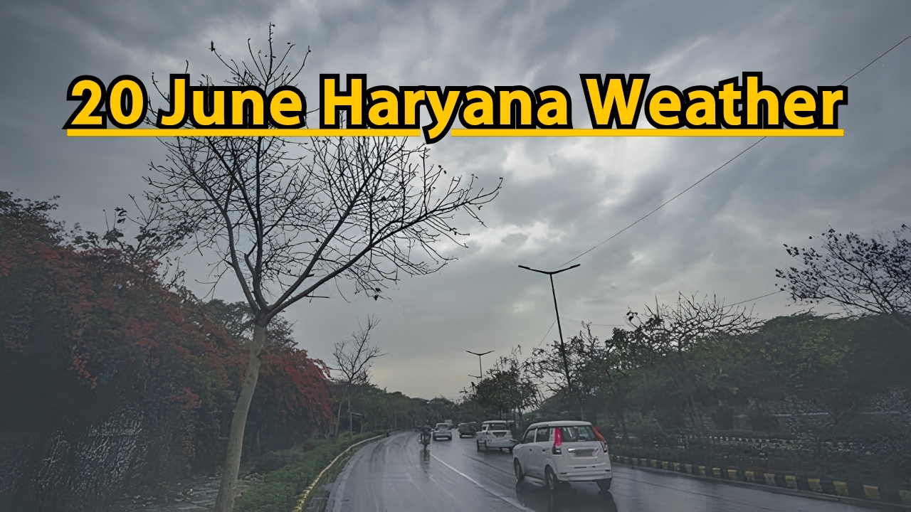 20 June Weather