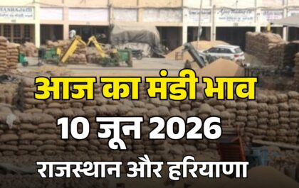 Aaj Ka Mandi Bhav 10 June 2026