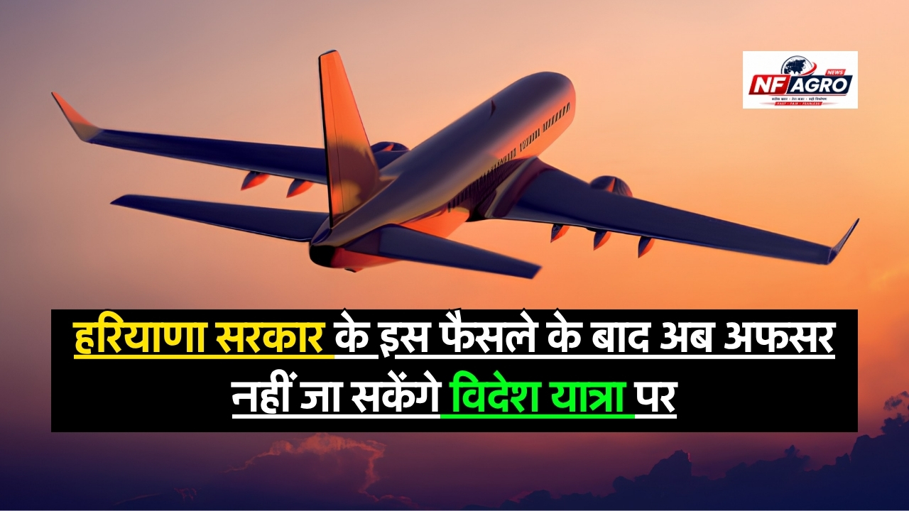 Ban International Trips