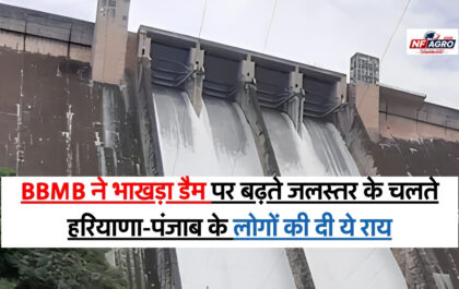 Bhakra Dam