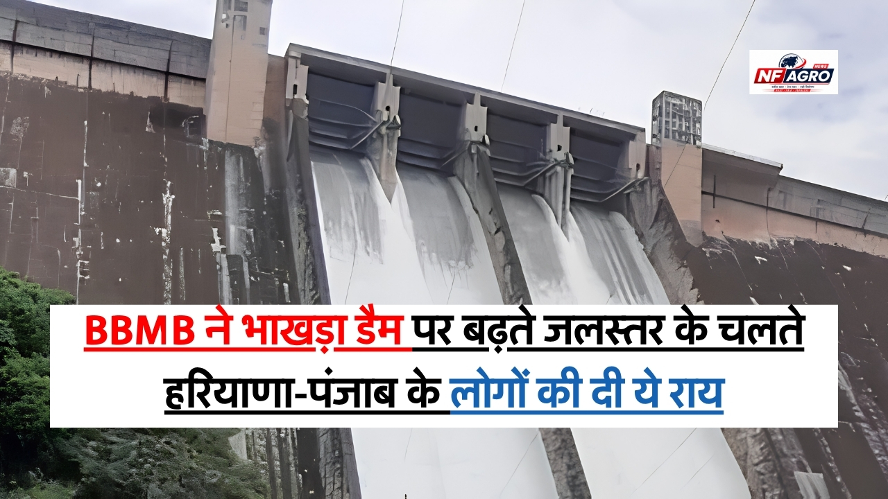 Bhakra Dam