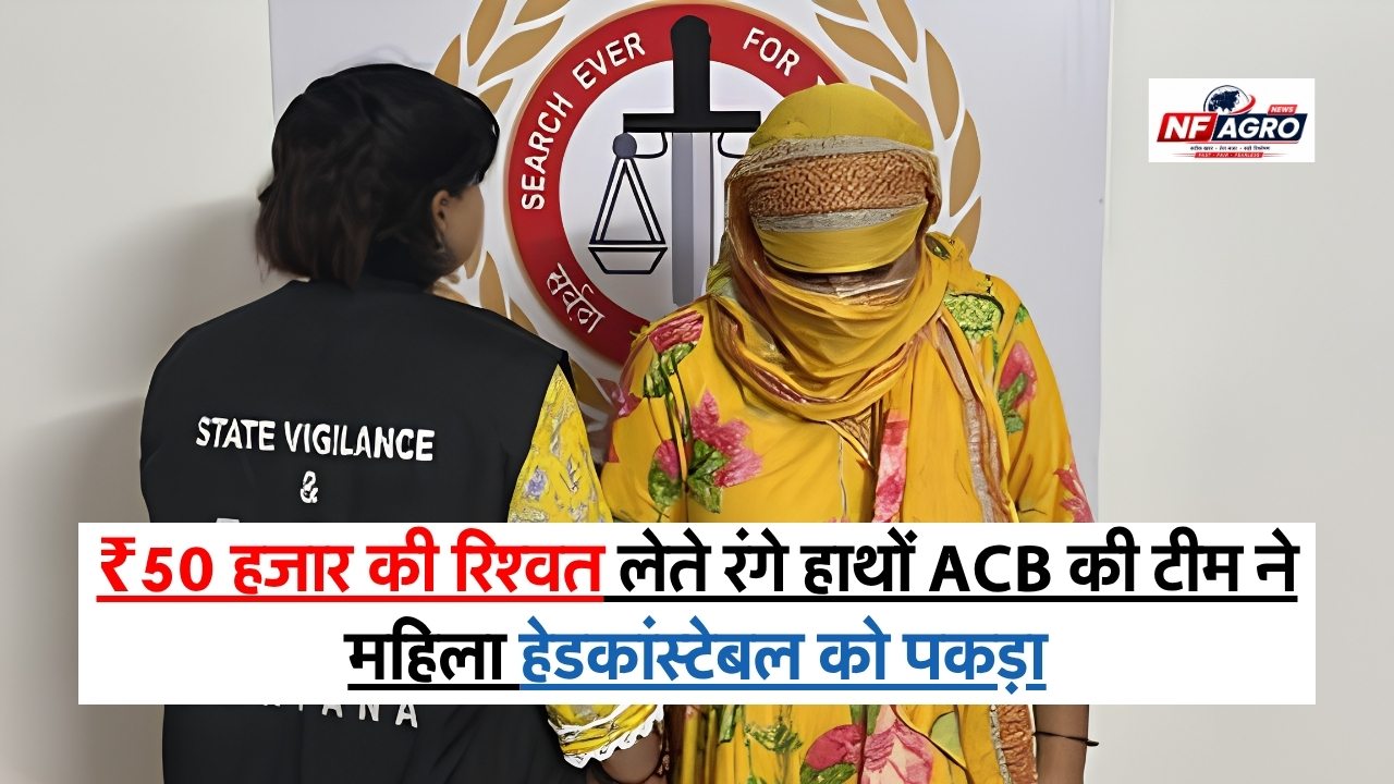 Bribe News