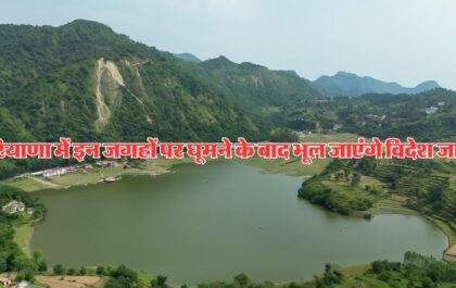 Haryana News
