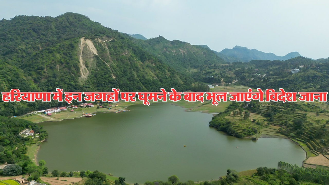 Haryana News