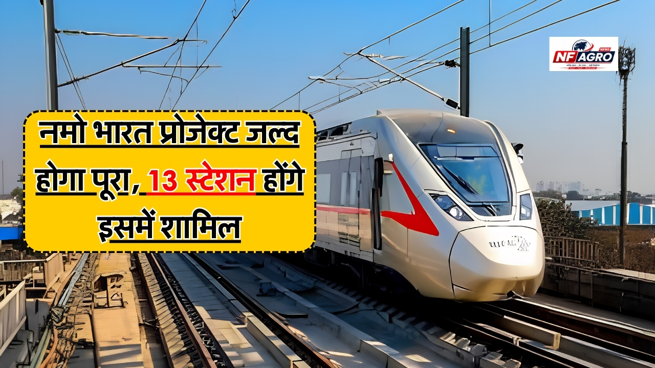 Rapid Rail News